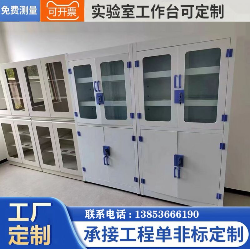 濰坊實(shí)驗(yàn)室家具實(shí)驗(yàn)室器皿柜試劑柜廠(chǎng)家供應(yīng)